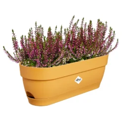Aanbiedingen Bloei Tuin Winkel -Aanbiedingen Bloei Tuin Winkel elho vibia campaba trough 50 honey yellow 1024x1024 6426d95f45cf3 l