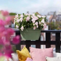 Elho Vibia Campana Flower Bridge 40 Pistachegroen -Aanbiedingen Bloei Tuin Winkel elho vibia campana flower bridge 40 pistachegroen 1023x1536 61e56696cfe38 l