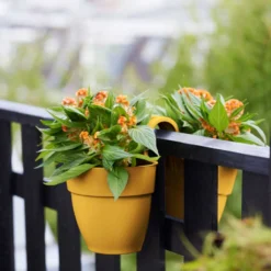 Elho Vibia Campana Flower Twin 21 Honinggeel -Aanbiedingen Bloei Tuin Winkel elho vibia campana flower twin 21 honinggeel 1024x1537 61e178a913d17 l