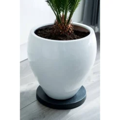 Nature Planttrolley Antraciet 29 Cm Rond -Aanbiedingen Bloei Tuin Winkel nature planttrolley antraciet 29 cm rond 1611764488 2 l