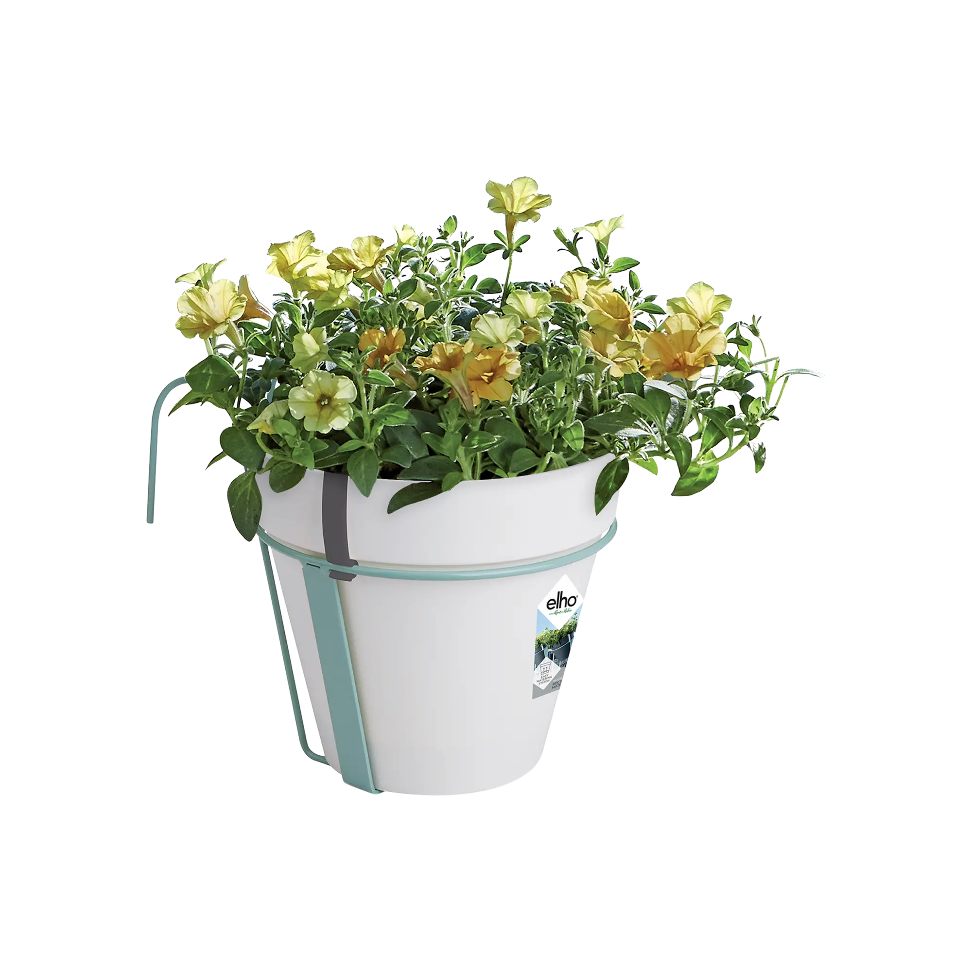 Aanbiedingen Bloei Tuin Winkel -Aanbiedingen Bloei Tuin Winkel loft urban balcony potholder white Calibrachoa.c1