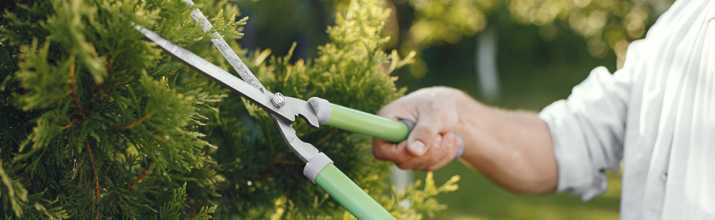 Aanbiedingen Bloei Tuin Winkel -Aanbiedingen Bloei Tuin Winkel tuingereedschap heggenschaar